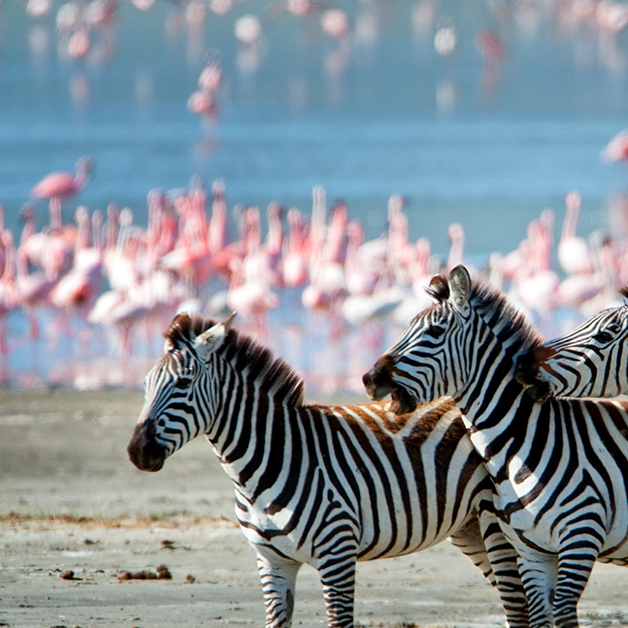 Lake Manyara National Park
