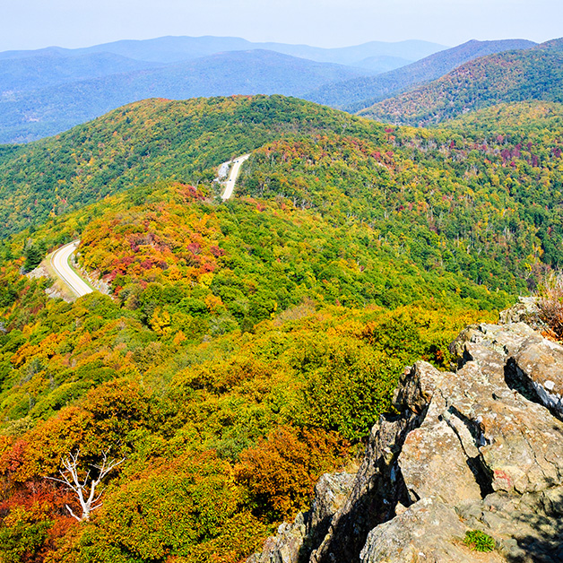 Shenandoah National Park
