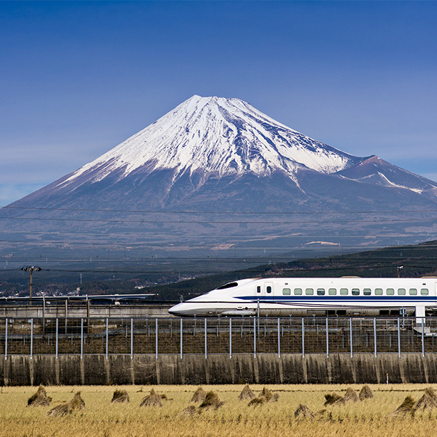Bullet Train
