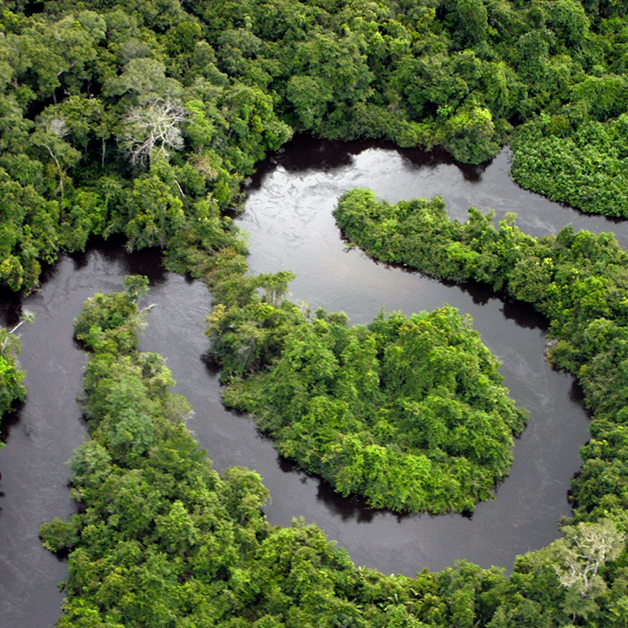 Brazilian Amazon  