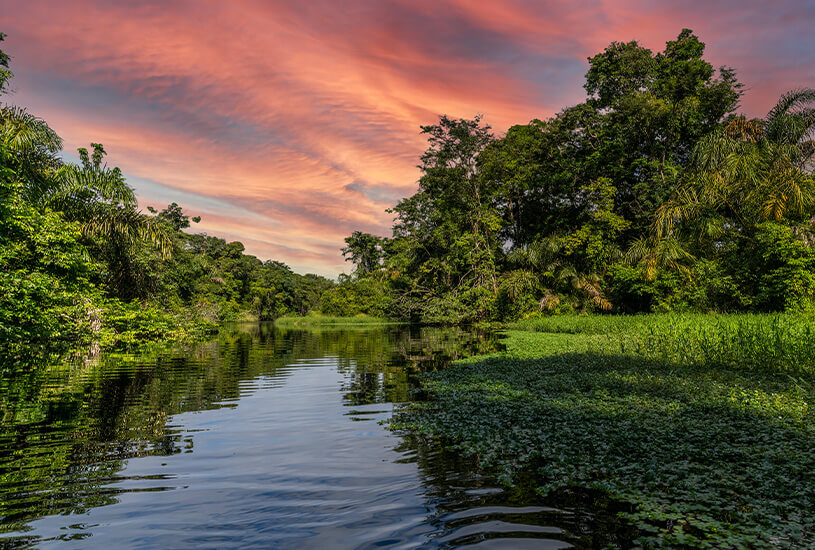 Tortuguero, Central America