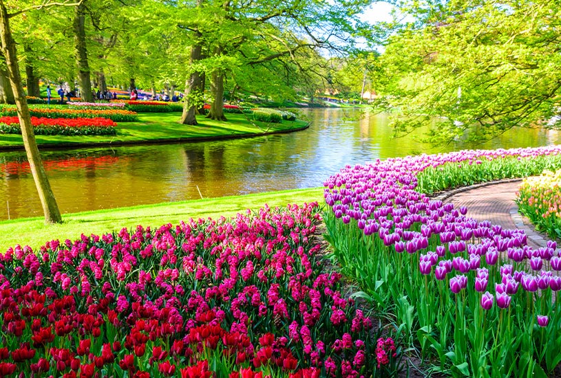 Keukenhof, Holland